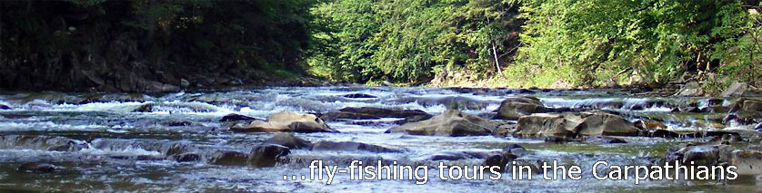 Fishing in mountain rivers of the Carpathians: Mizunka, Bystrica, Swicha.
